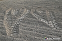 VBS_7674 - Andare lontano, oltre i campi da arare... e ancora più in là